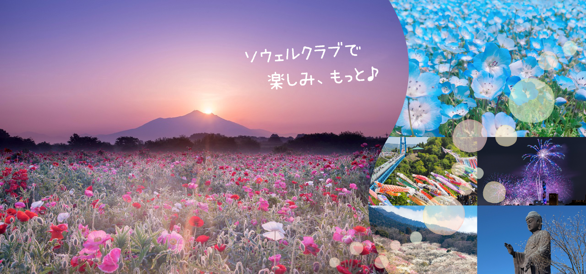 ソウェルクラブで楽しみ、もっと♪